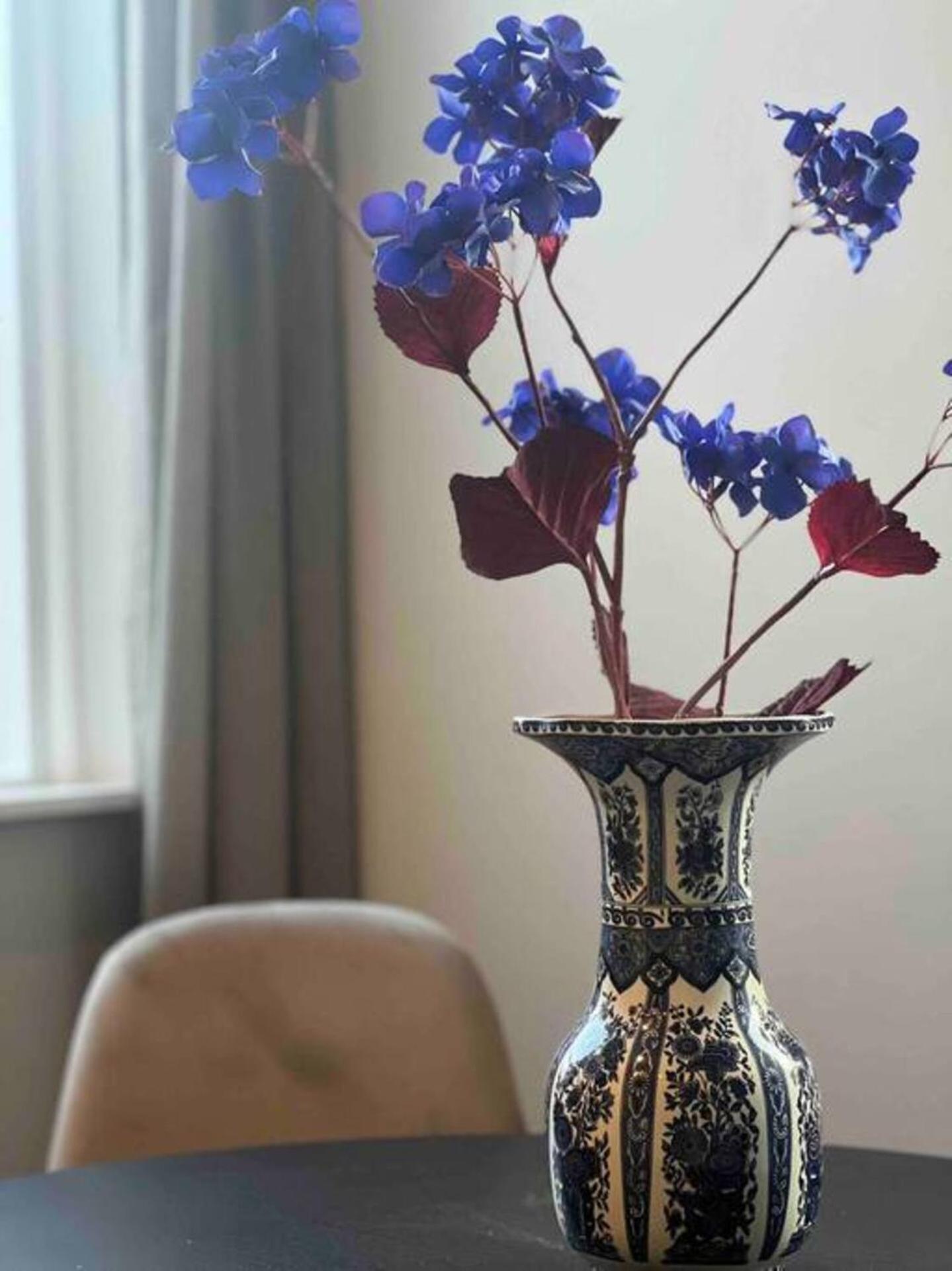 Luxe Sfeervol Centrum Begane Grond Apartment Tilburg